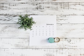  Desk Calendar shown with a plant