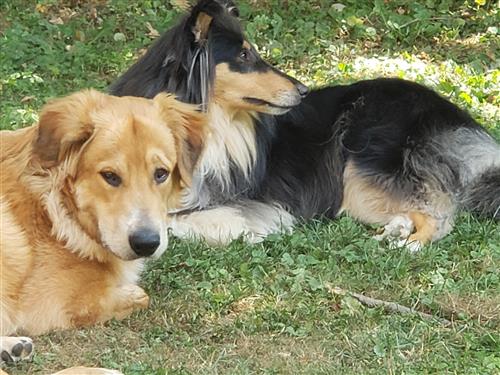 Mav and Jennie